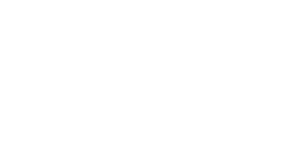 Business Machines Logo